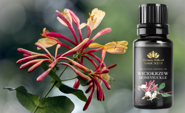 Olejek eteryczny WICIOKRZEW 30 ml